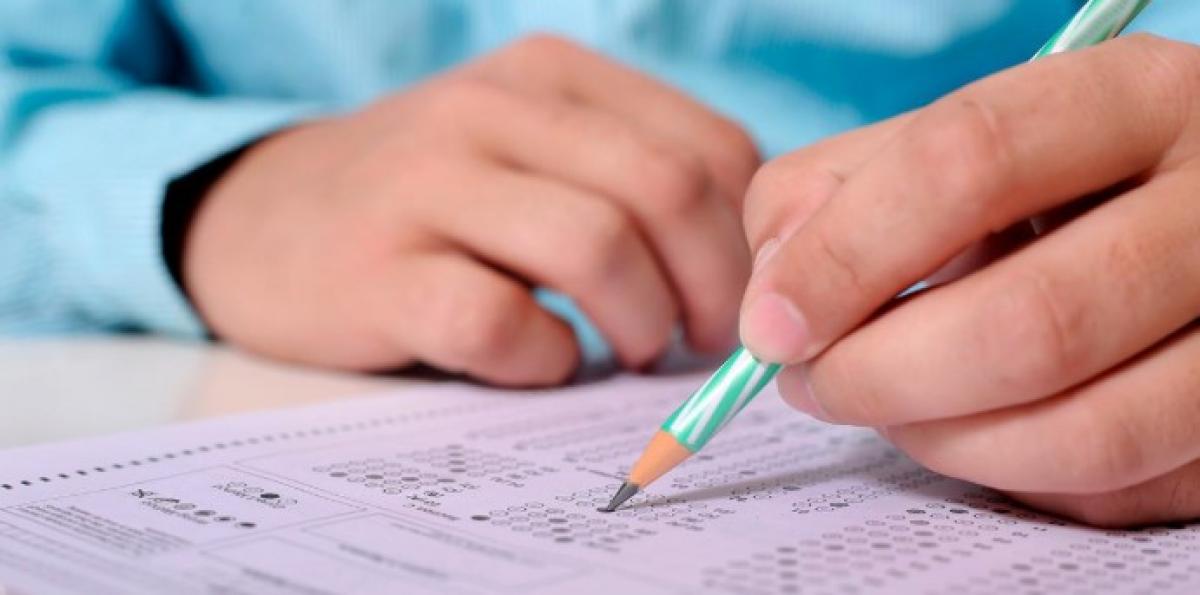Cursos, formacin, y oposiciones